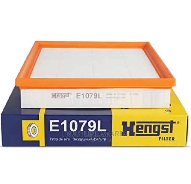 BMW Series 1,2,3,4, -Air Filter- Hengst E1079L