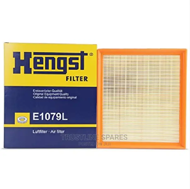 BMW Series 1,2,3,4, -Air Filter- Hengst E1079L
