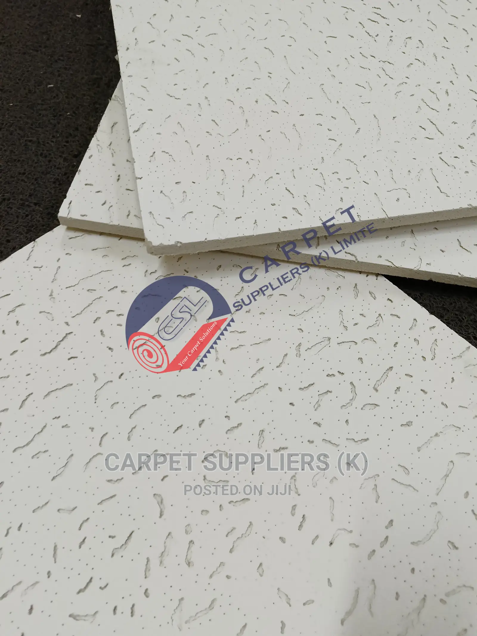 Acoustic Ceiling