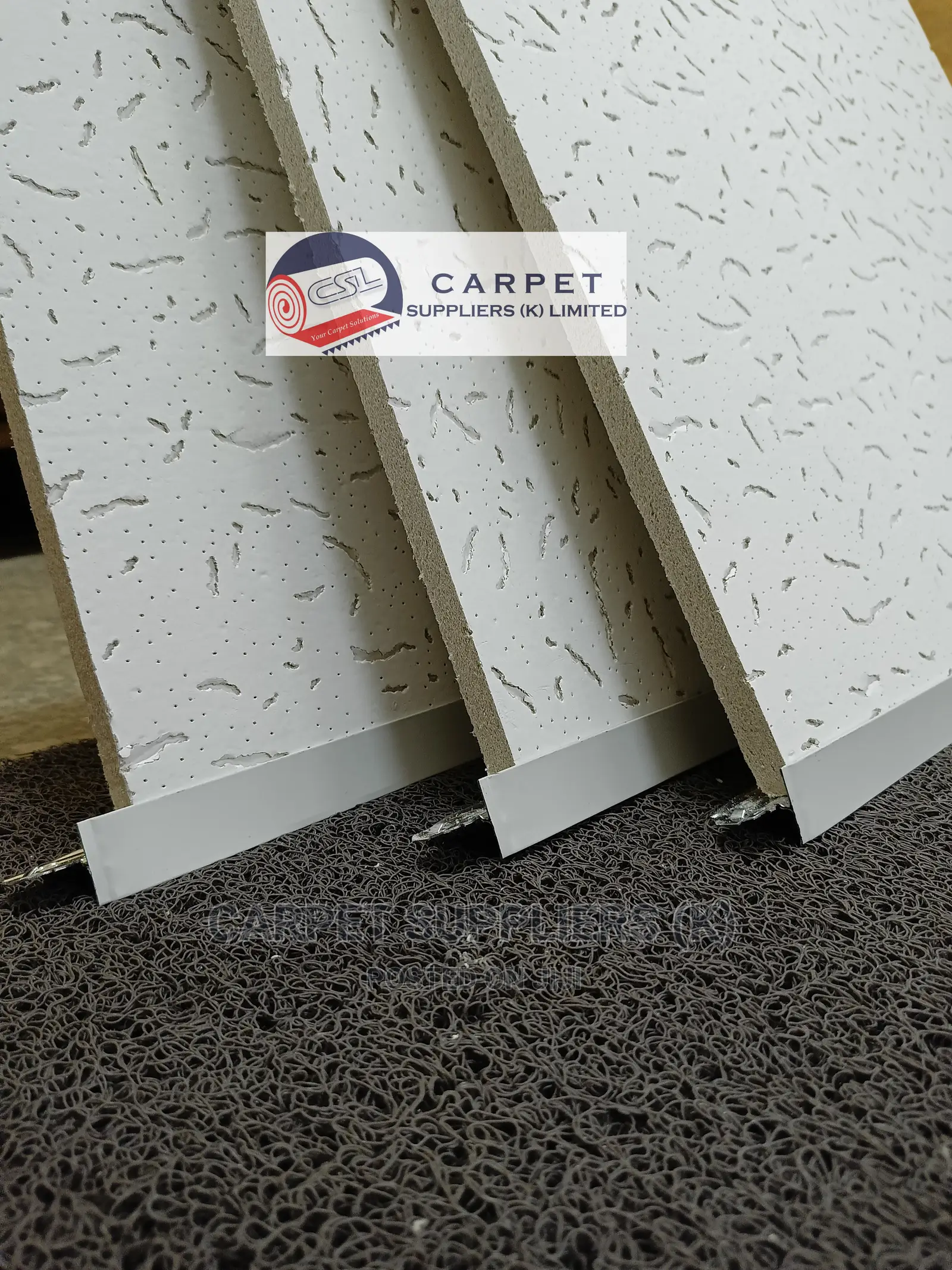 Acoustic Ceiling