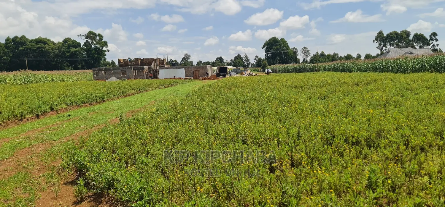 Plots for Sale in Kiplombe Opposite Proposed MTRH in Eldoret