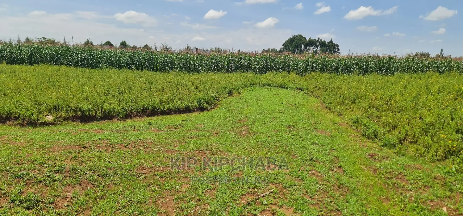 Plots for Sale in Kiplombe Opposite Proposed MTRH in Eldoret