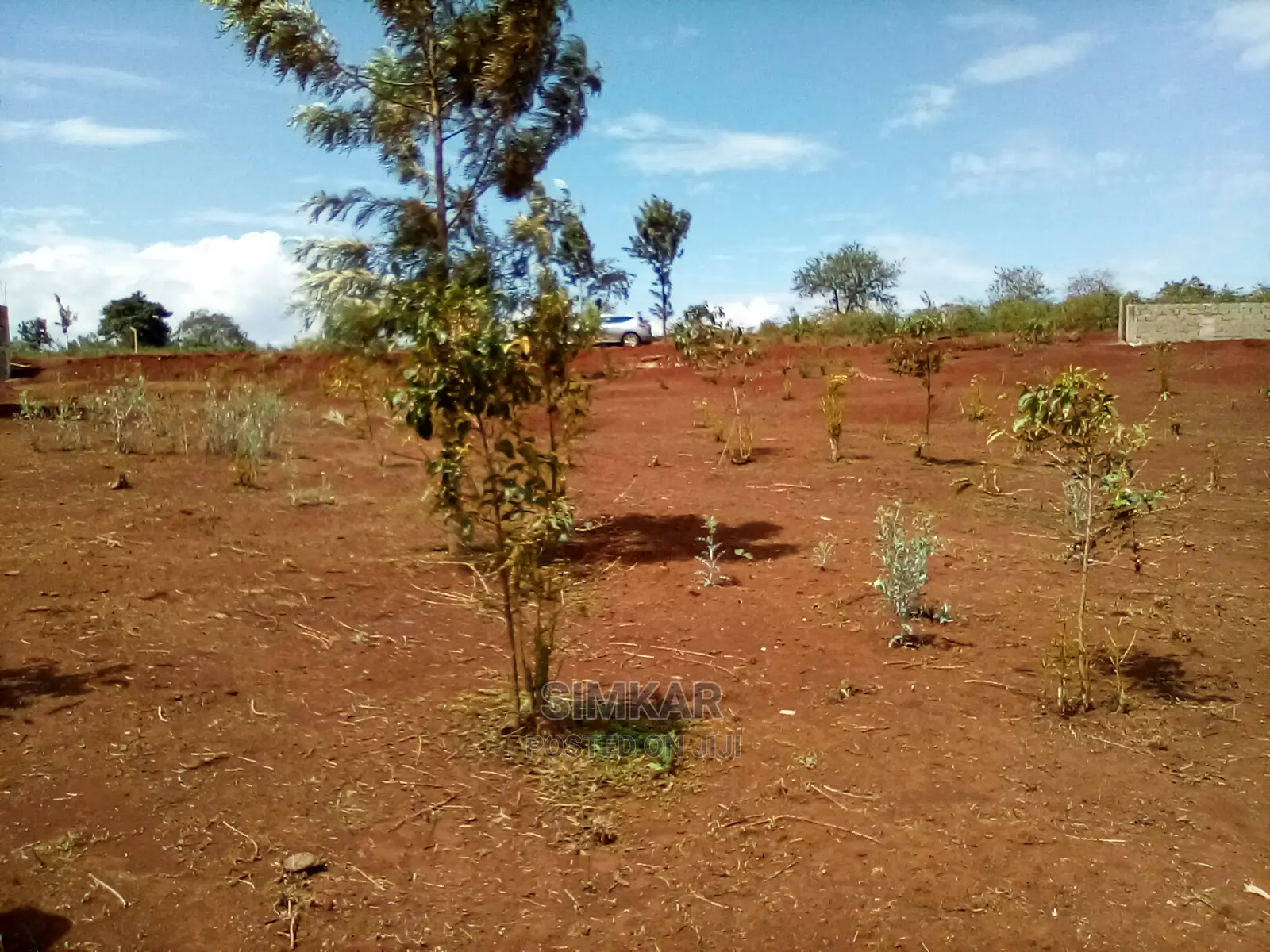 Land for Lease in Ridgeways - 2nd Row Land