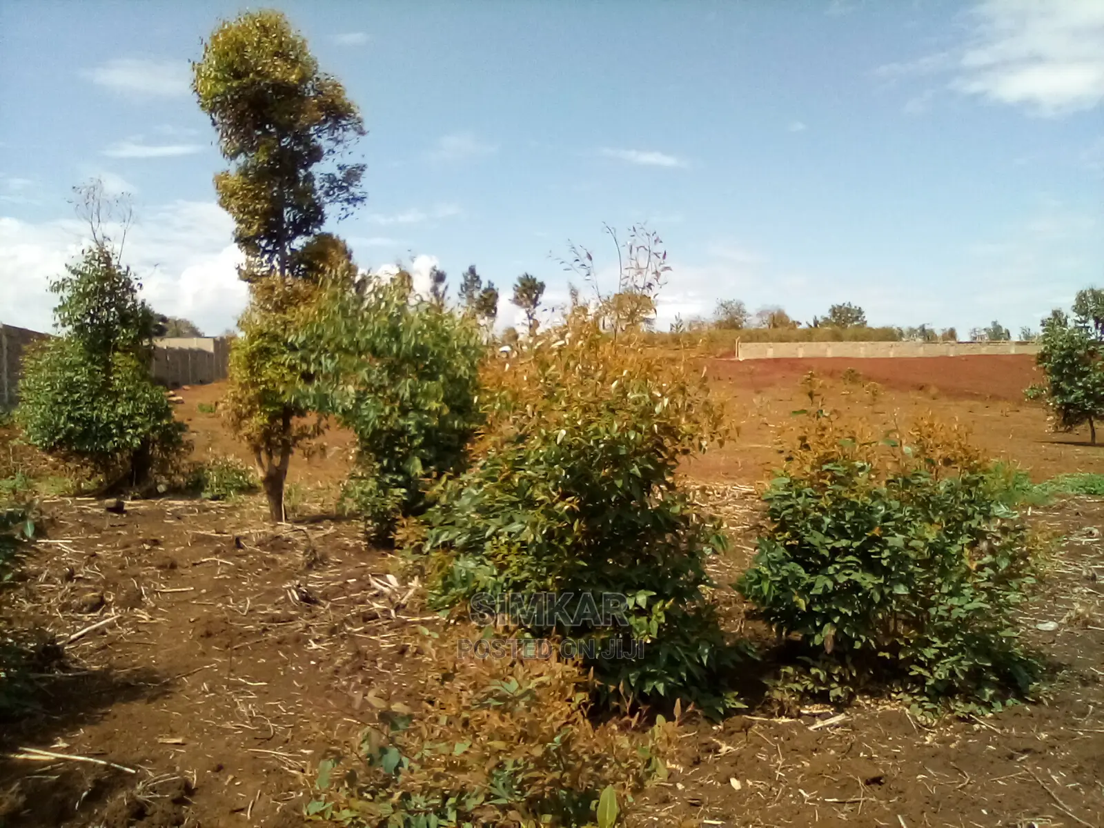 Land for Lease in Ridgeways - 2nd Row Land