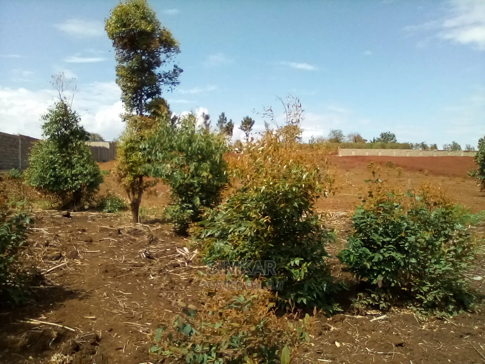 Land for Lease in Ridgeways - 2nd Row Land