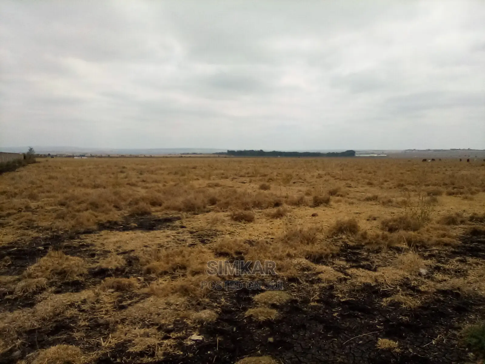 192 Acres of Land for Sale in Isinya