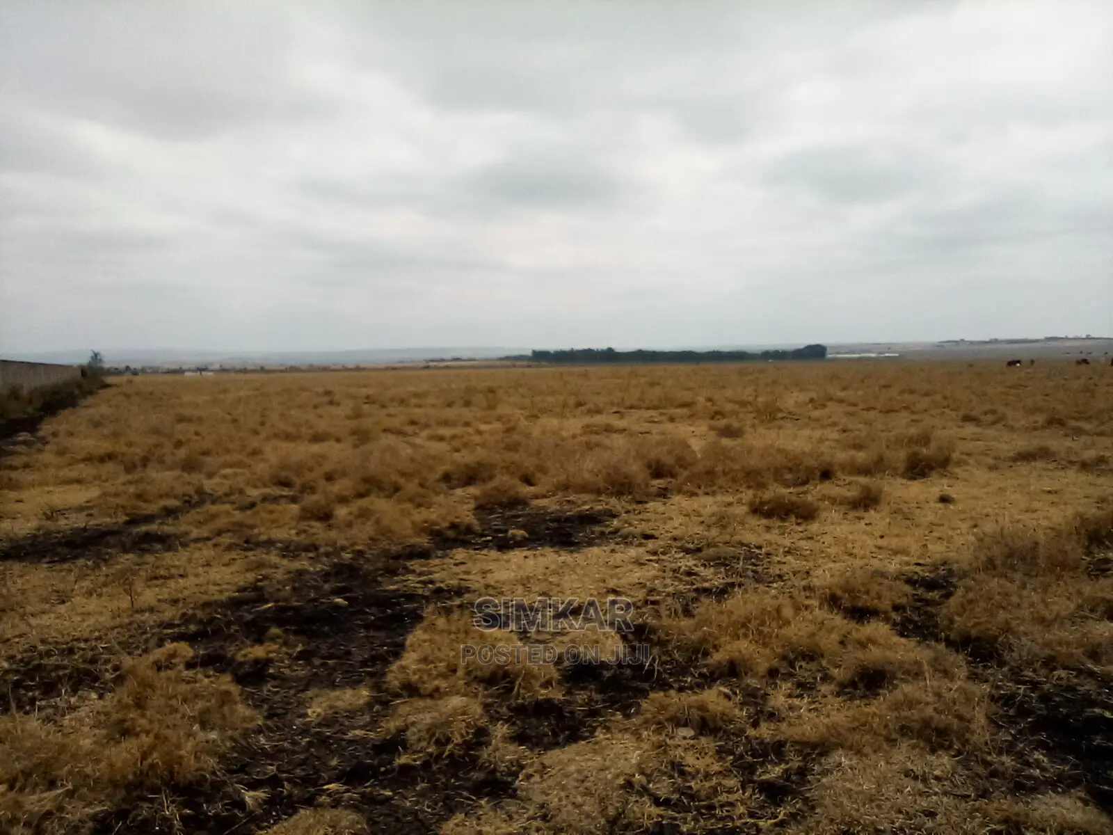 192 Acres of Land for Sale in Isinya