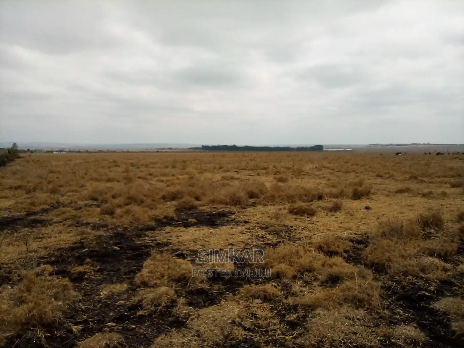 192 Acres of Land for Sale in Isinya