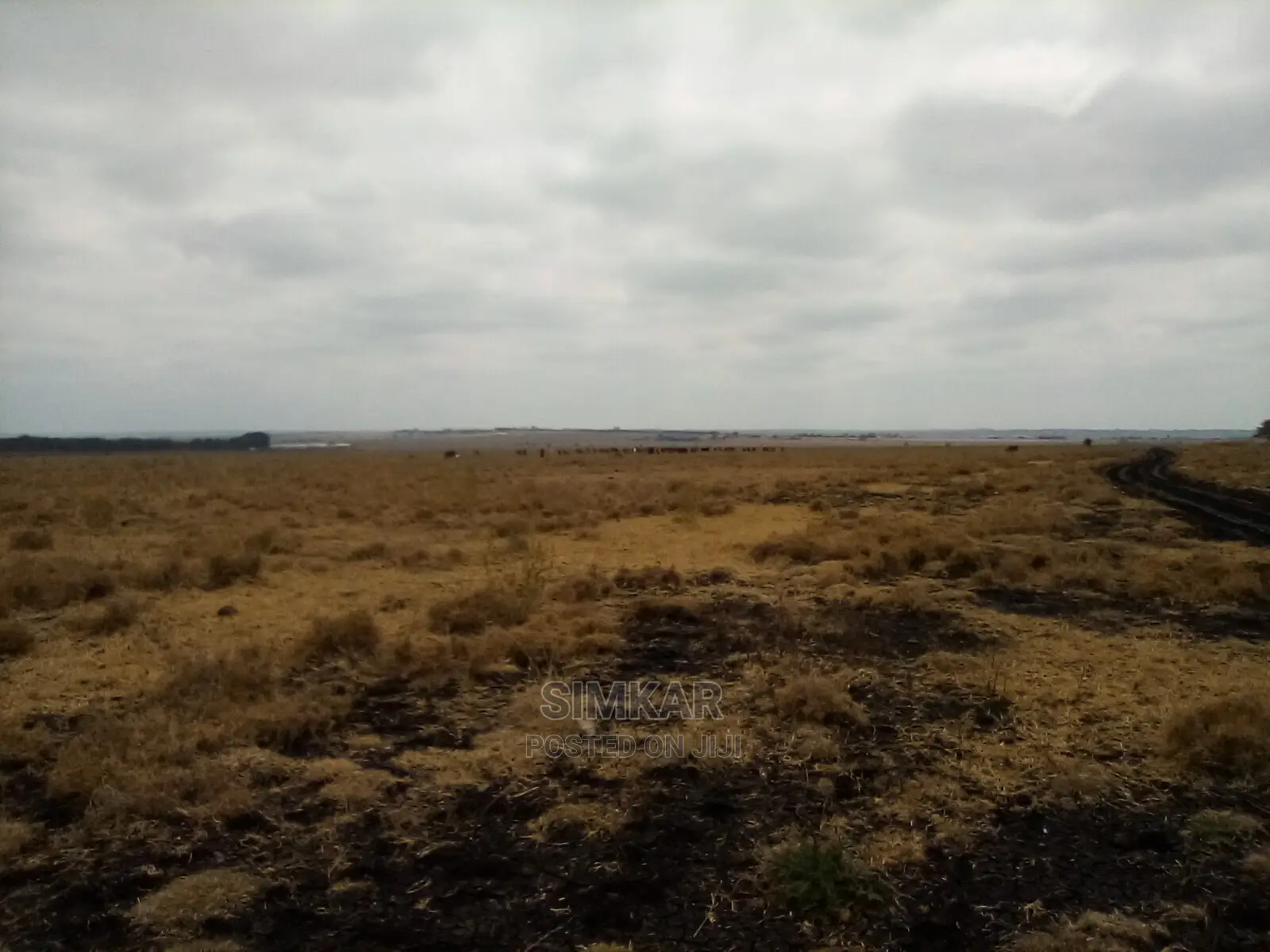 192 Acres of Land for Sale in Isinya