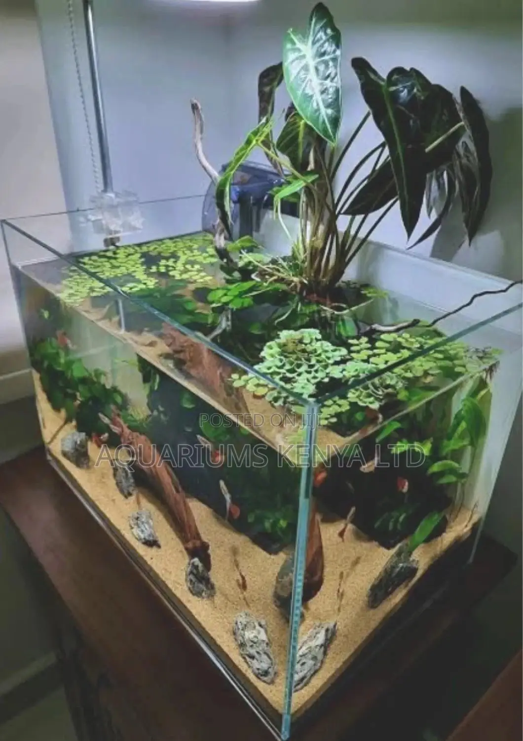 Therapeutic Aquarium Planted Tank