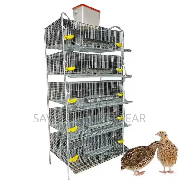 Best Quality H Type Quail Cage for Sale