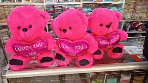Teddy Bear Home Teddy Bear