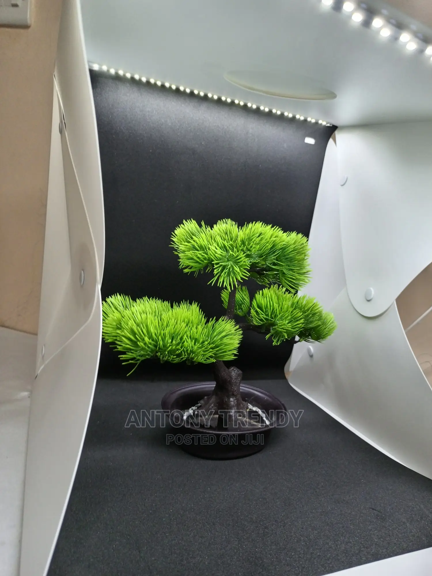 40 By 40 Studio Tent Kit With 6 Removable Backdrops