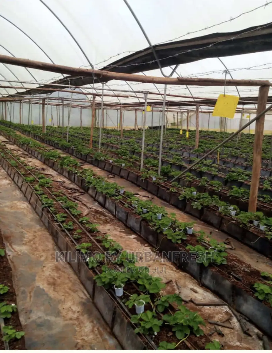 Mapal Troughs. Price Per Meter.