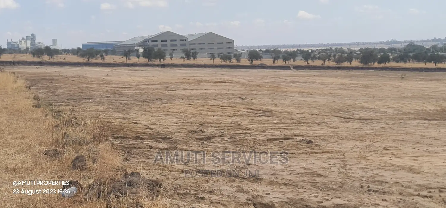 Daystar: 10 Acres for Sale