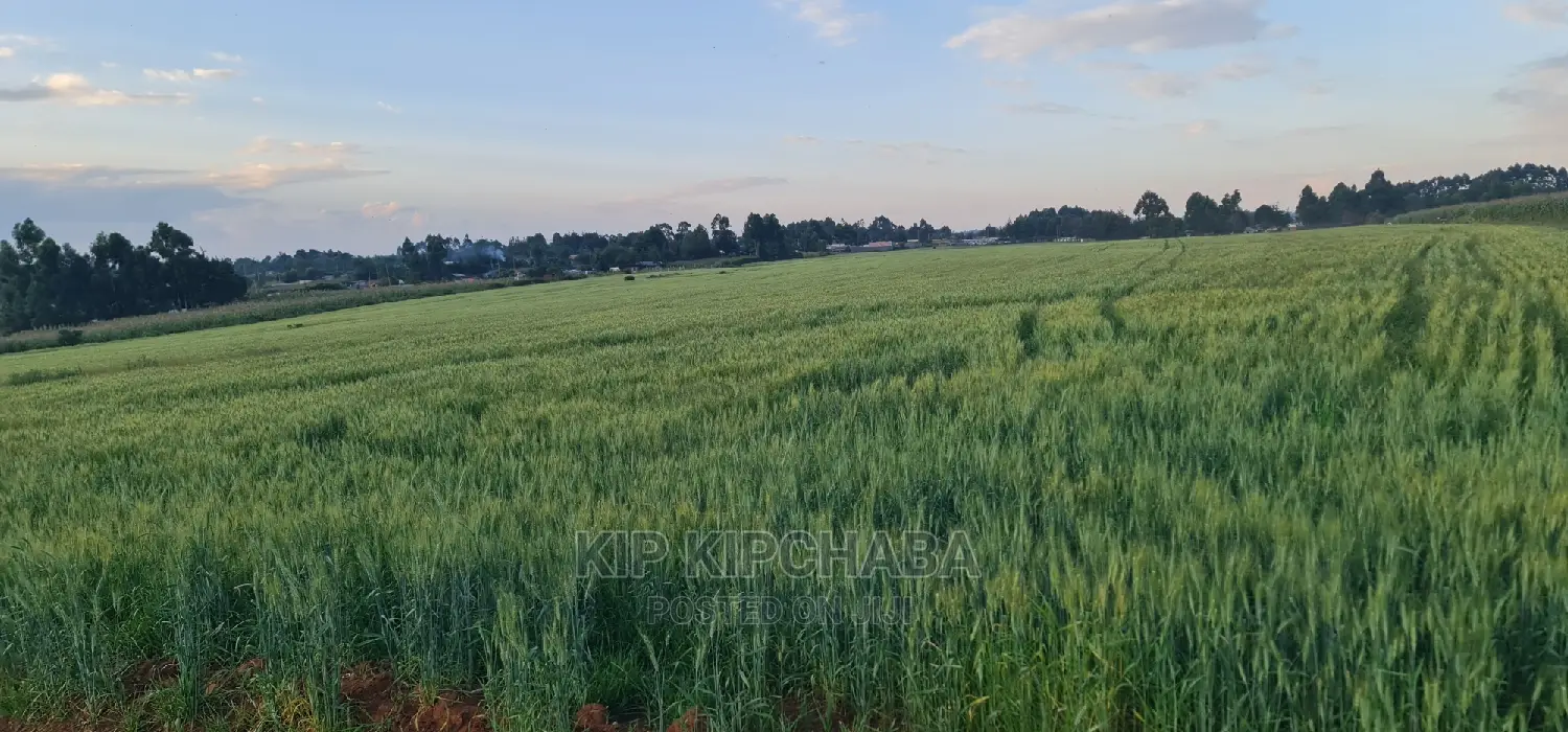 3 Acres for Sale in Moiben Junction Sergoit in Eldoret