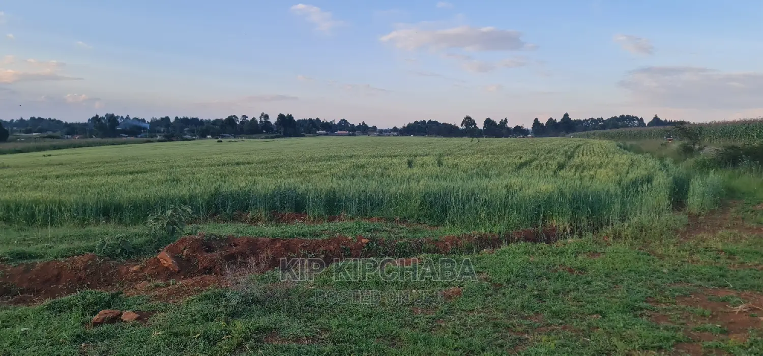 3 Acres for Sale in Moiben Junction Sergoit in Eldoret