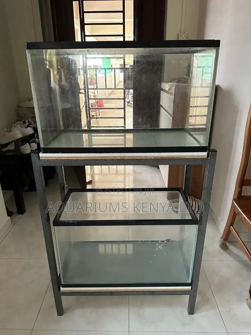 2 Tier Aquarium for Breeding Fish With Metal Stand