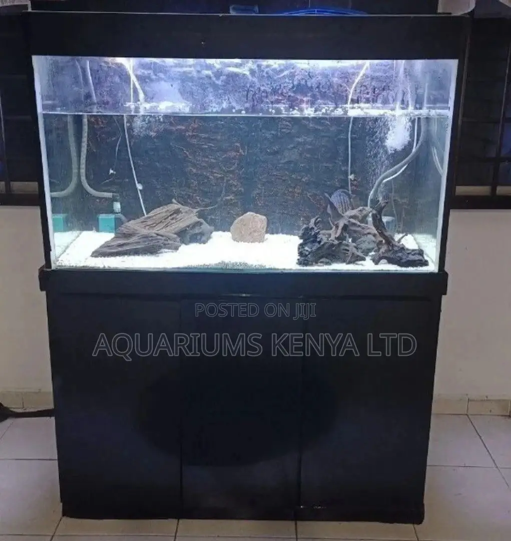 Aquarium Cleaning .