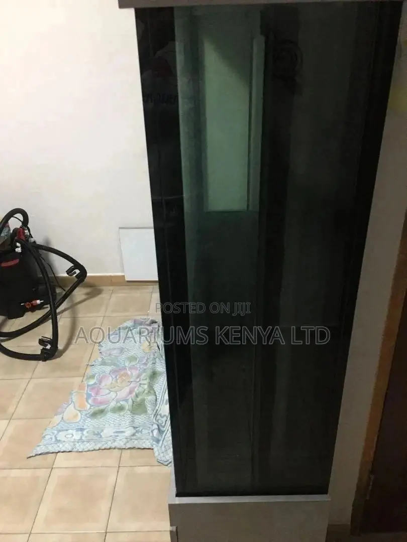 Massive 5ft by 4ft by 1ft Aquarium With Bottom Sump