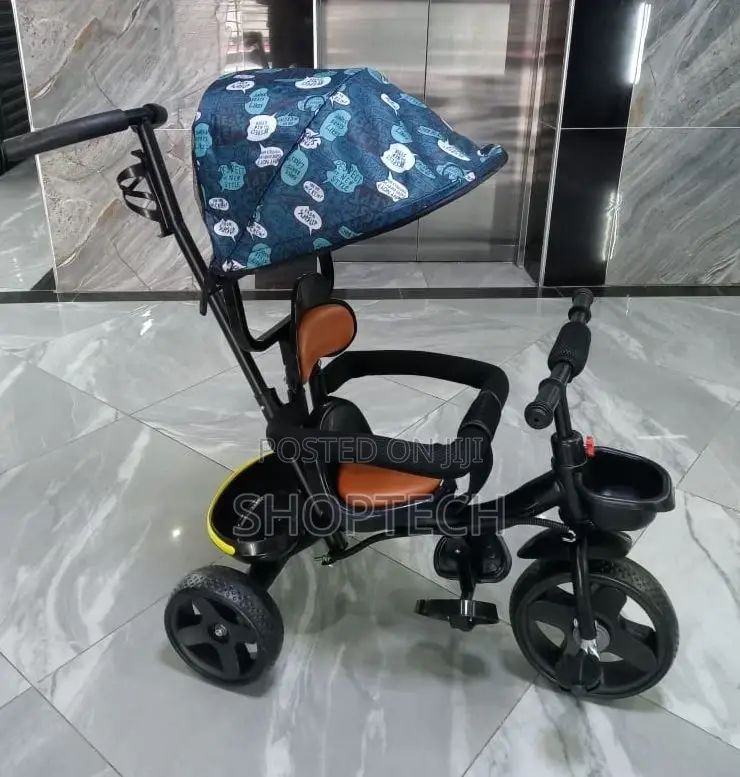 Tricycle With Canopy and Parental Control Handle