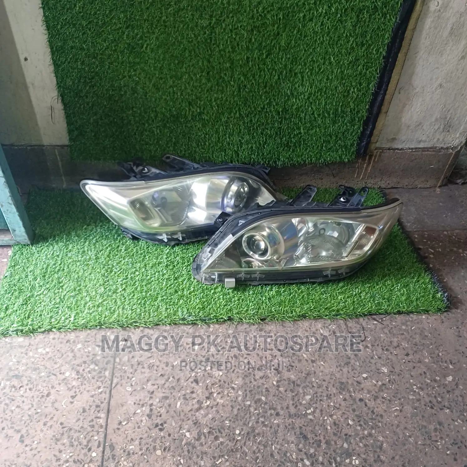 Toyota Vanguard Headlight XENON