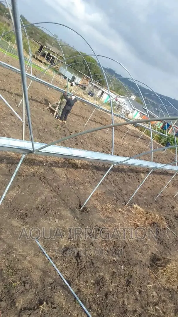 Solar Driers/Greenhouse Structure
