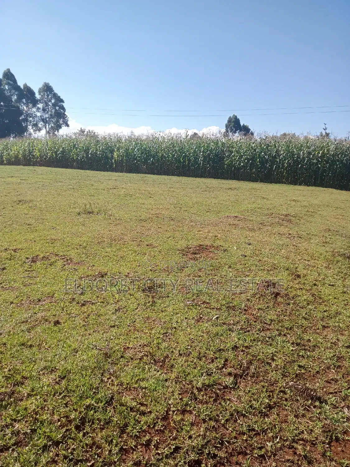 1/2 Acre Kaplelach After Kilombe.