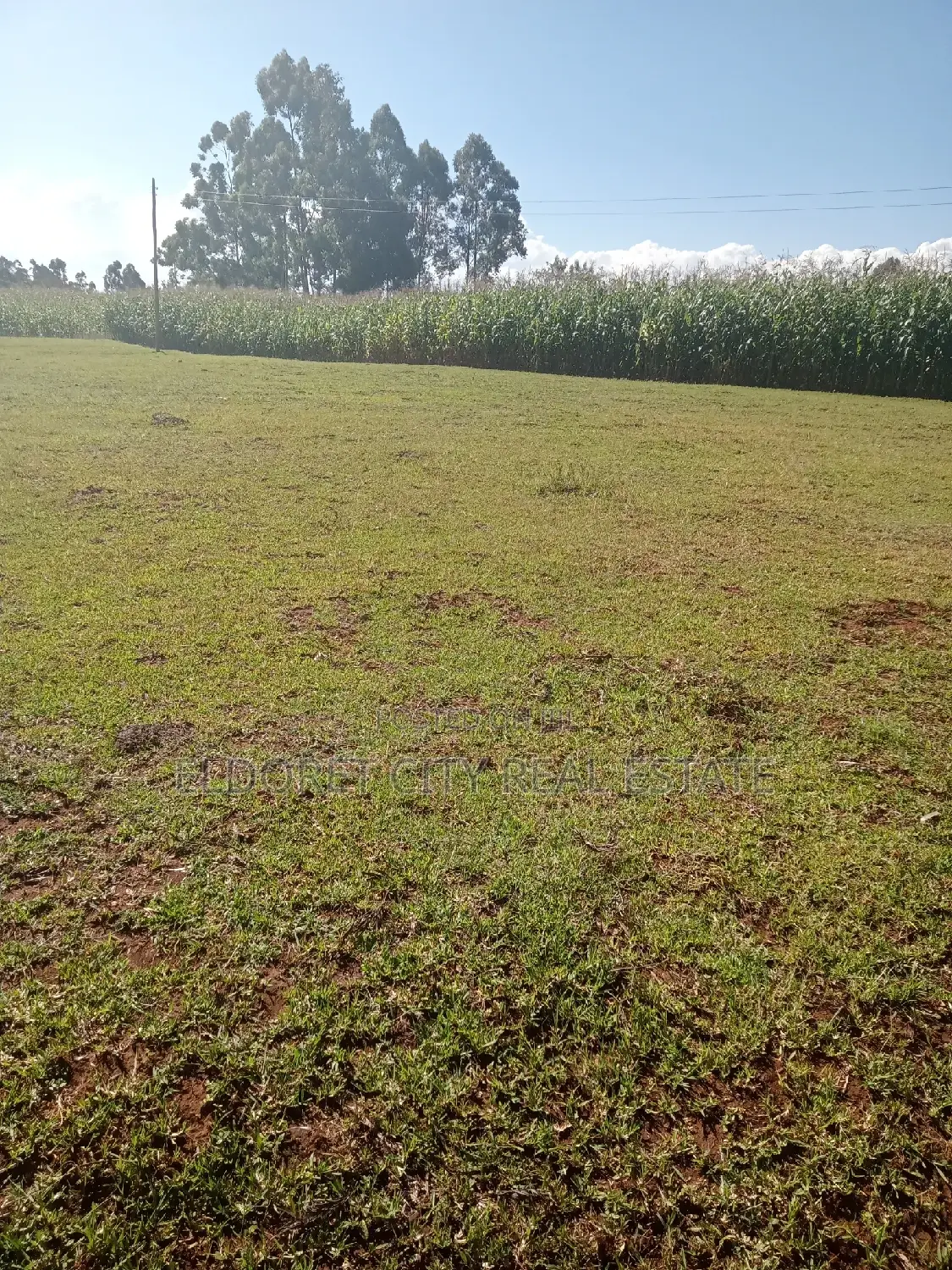 1/2 Acre Kaplelach After Kilombe.