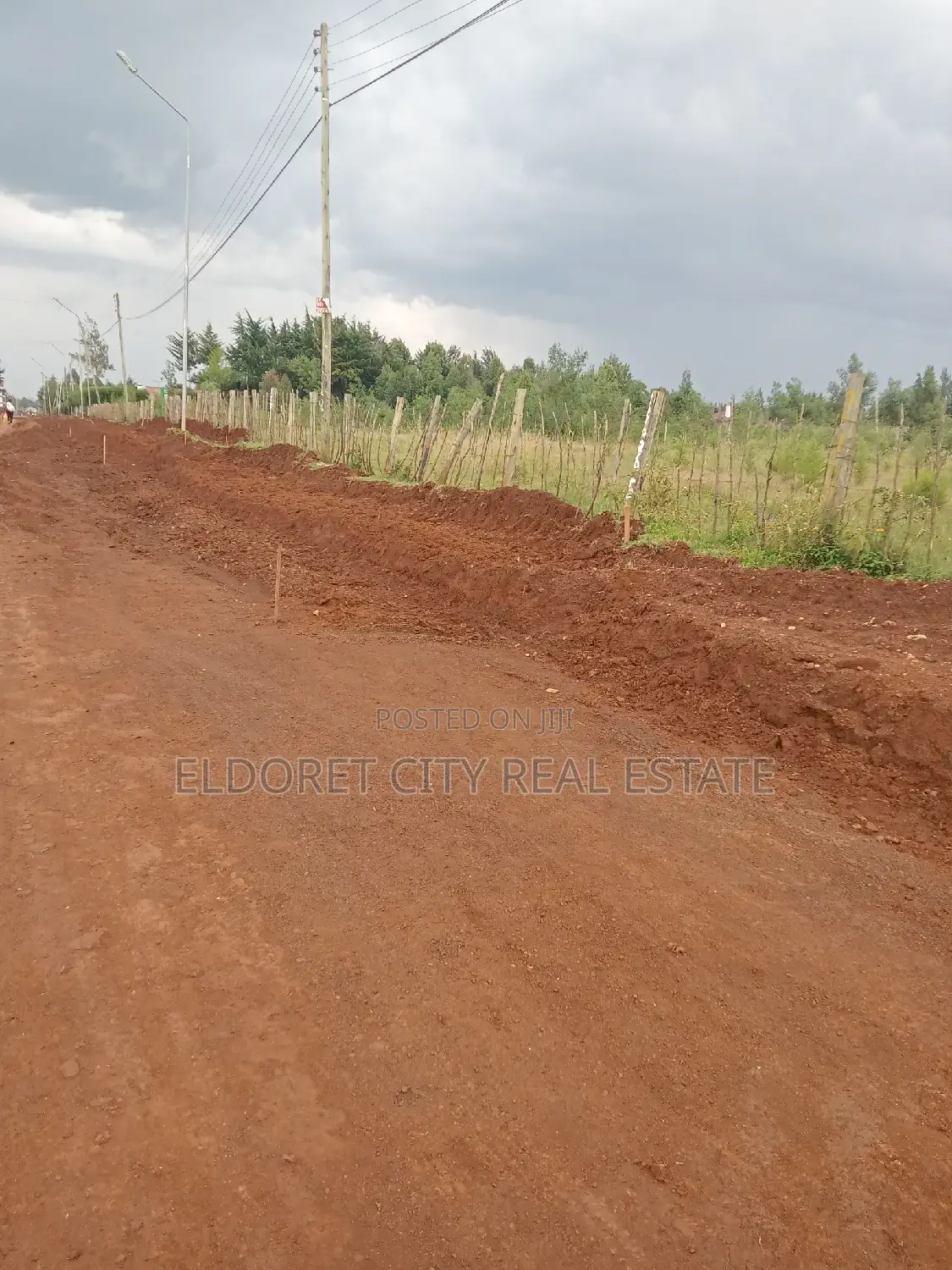 1/8 Plots Racecourse Touching Tarmac