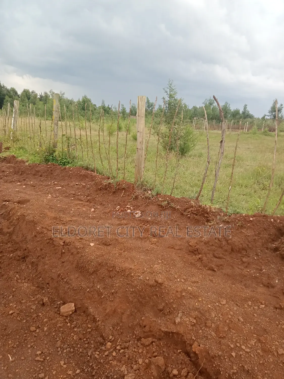 1/8 Plots Racecourse Touching Tarmac