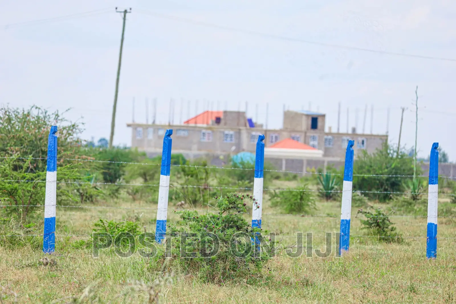 Prime Plots in Kamakis Area^Ek