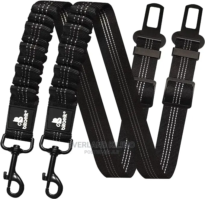 Heavy Duty Leash With Car Buckle