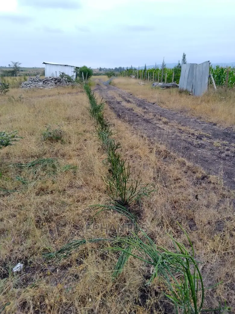 50 by 100 Plots in Makuyu