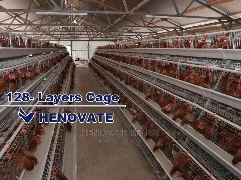 Chicken Layers Cage for 128 Birds