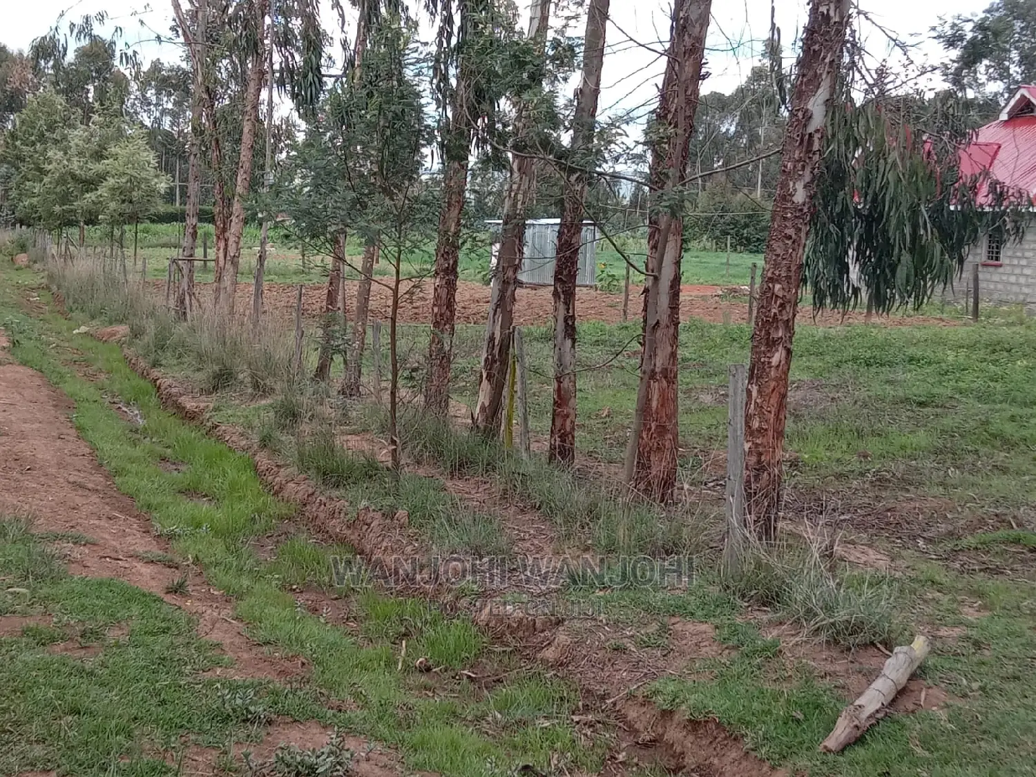 Affordable 50x100 Serene Plots