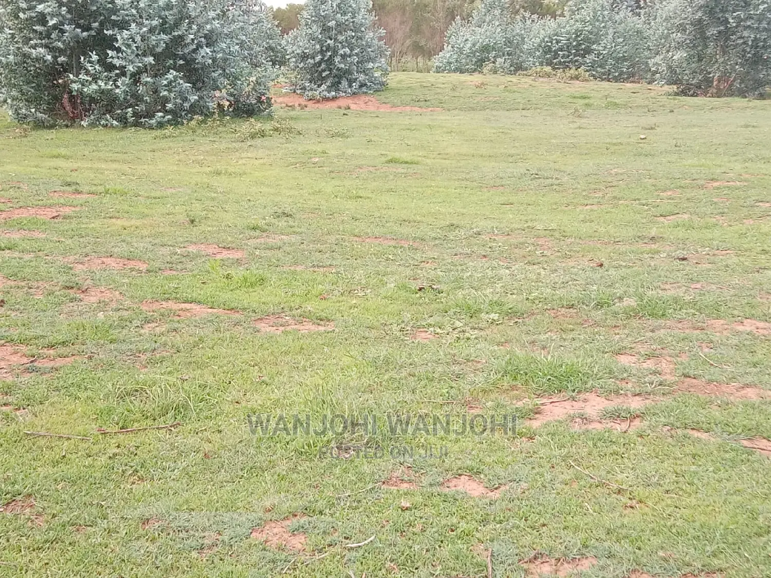 A Breath of Fresh Air in Nyandarua