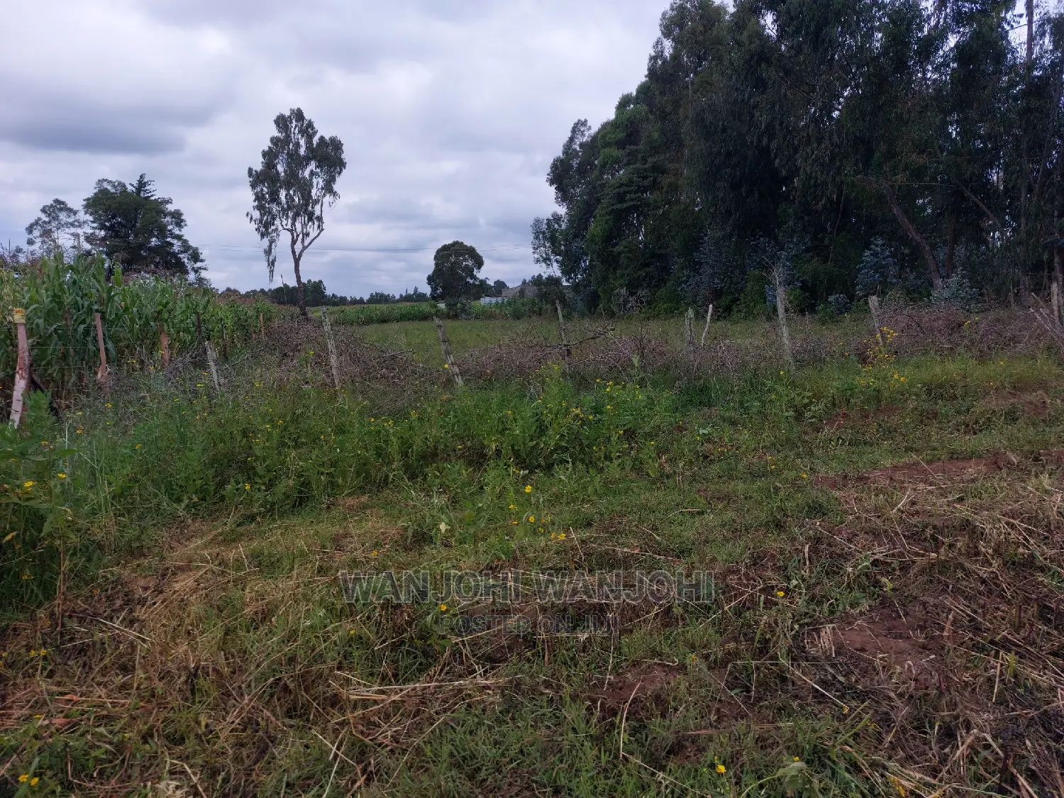 Affordable Prime 50x100 Plots