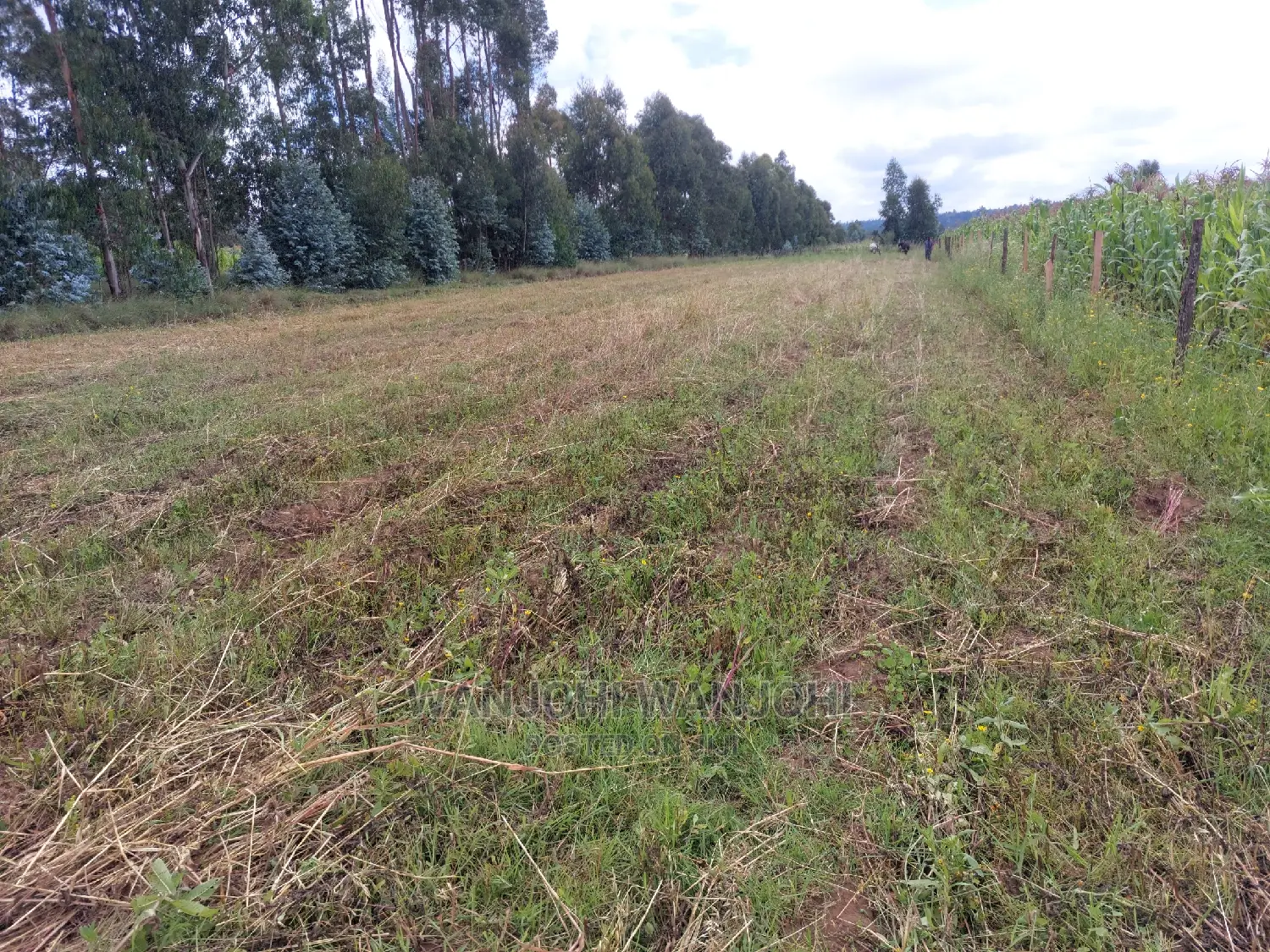 50x100 Exquisite Plots in Olkalou