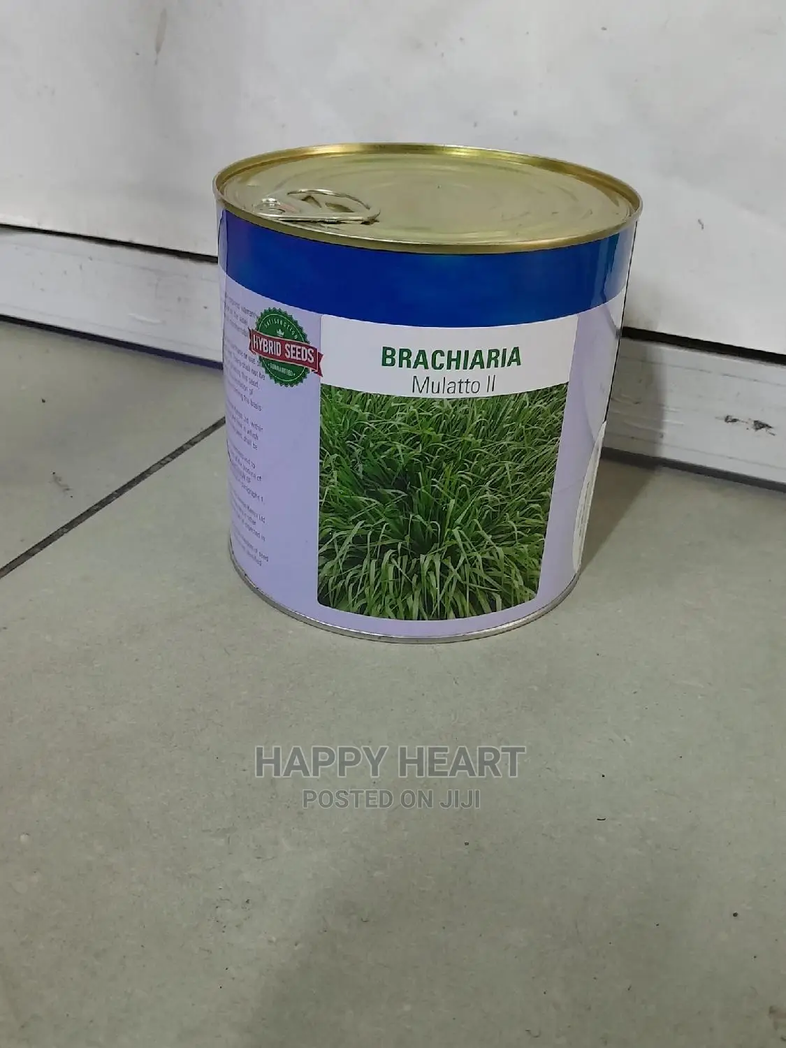 Bracharia Mullato Grass 1kg