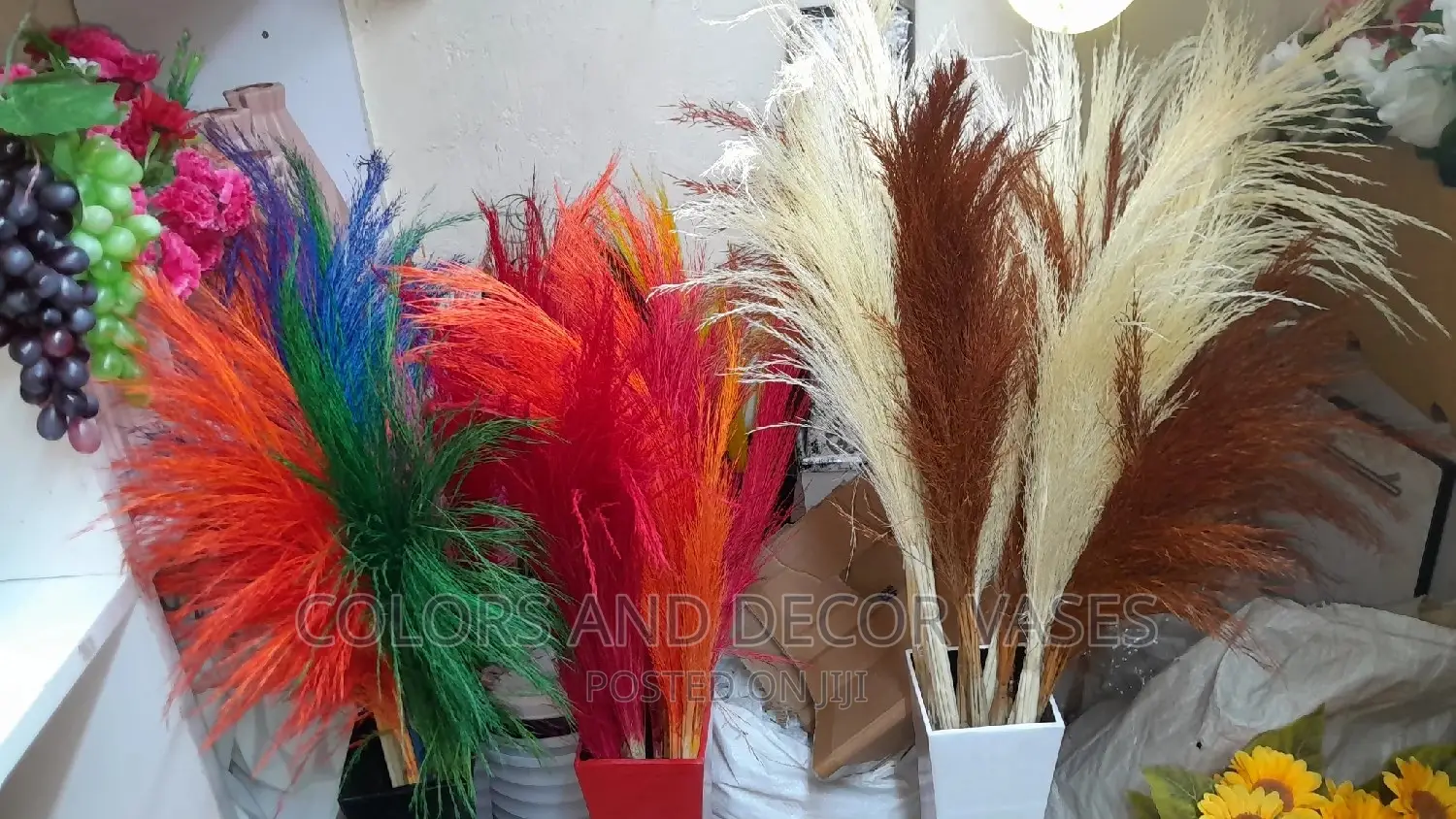 Pampas Grass KSH 150
