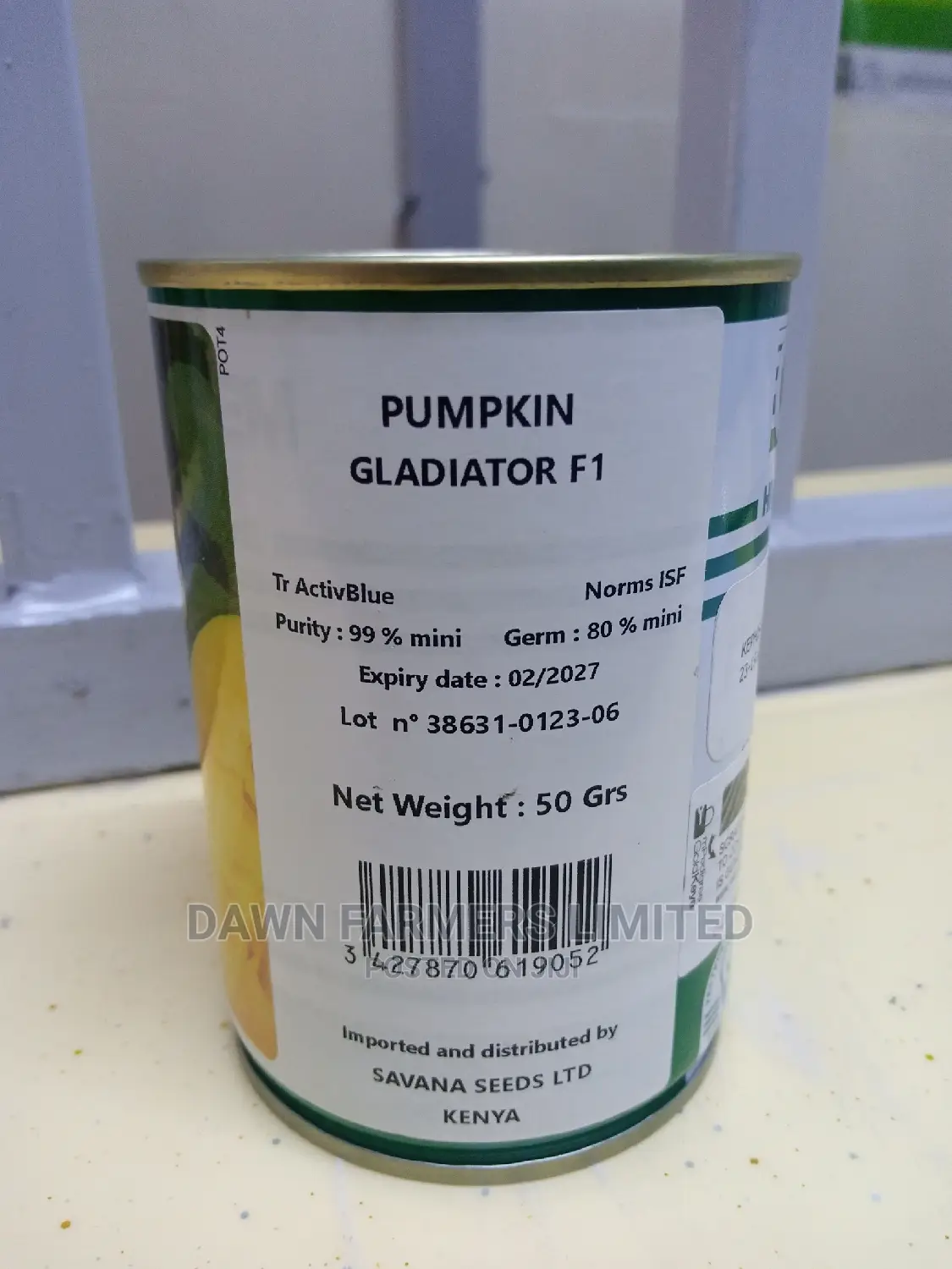 Pumpkin Gladiator F1 50gms