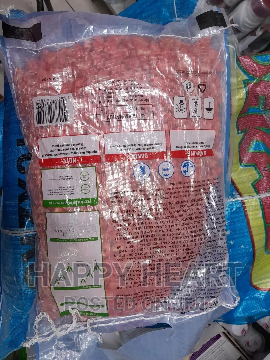 Dk 8031 Dekalb Seed Maize 2kg