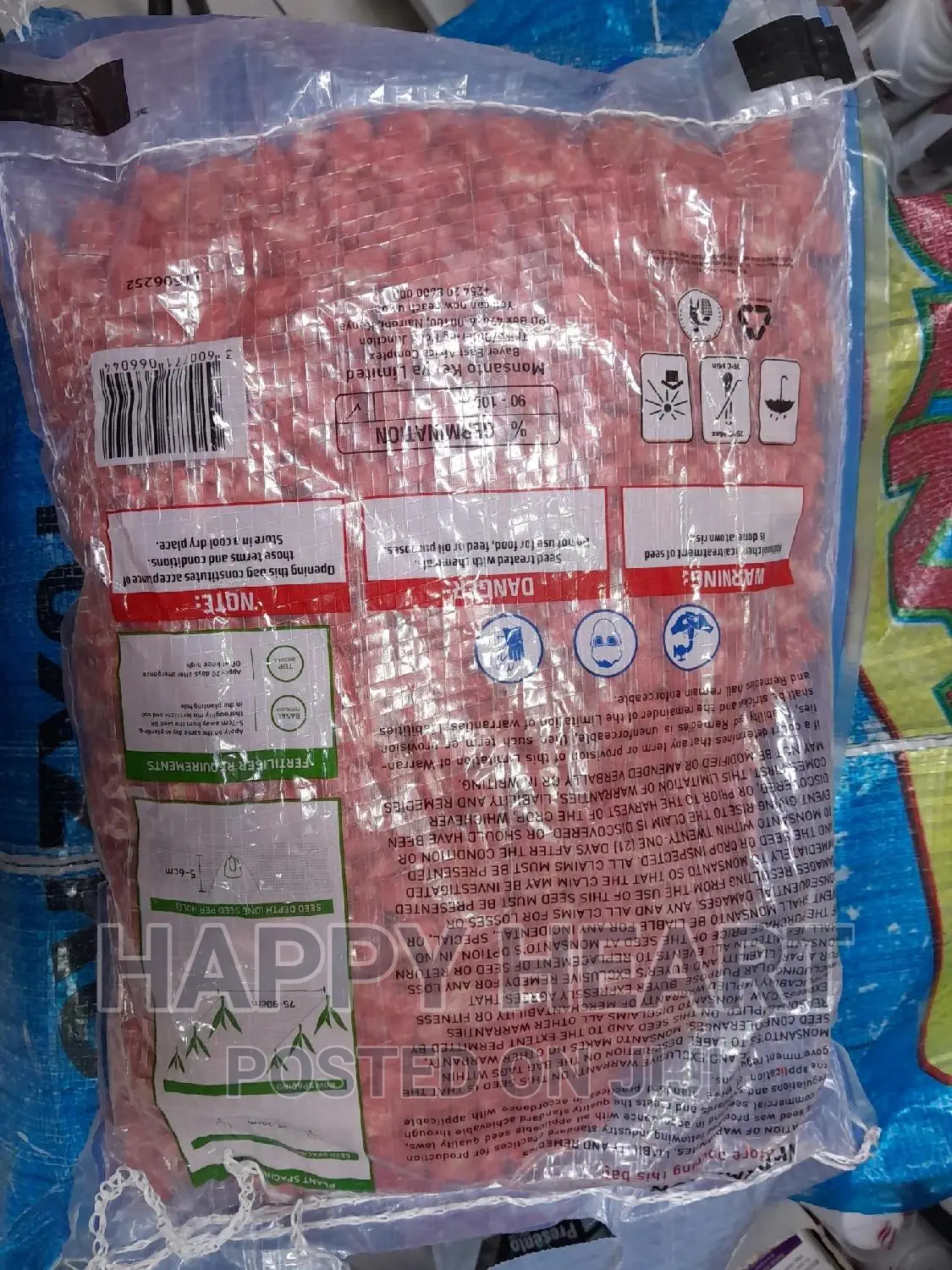 Dk 8031 Dekalb Seed Maize 2kg