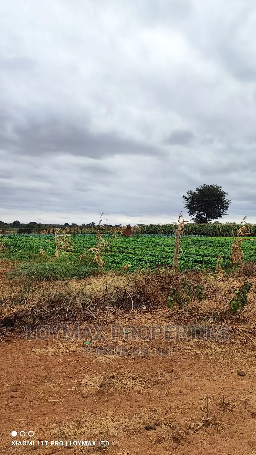 42 Acres for Sale in Kajiado Mashuru