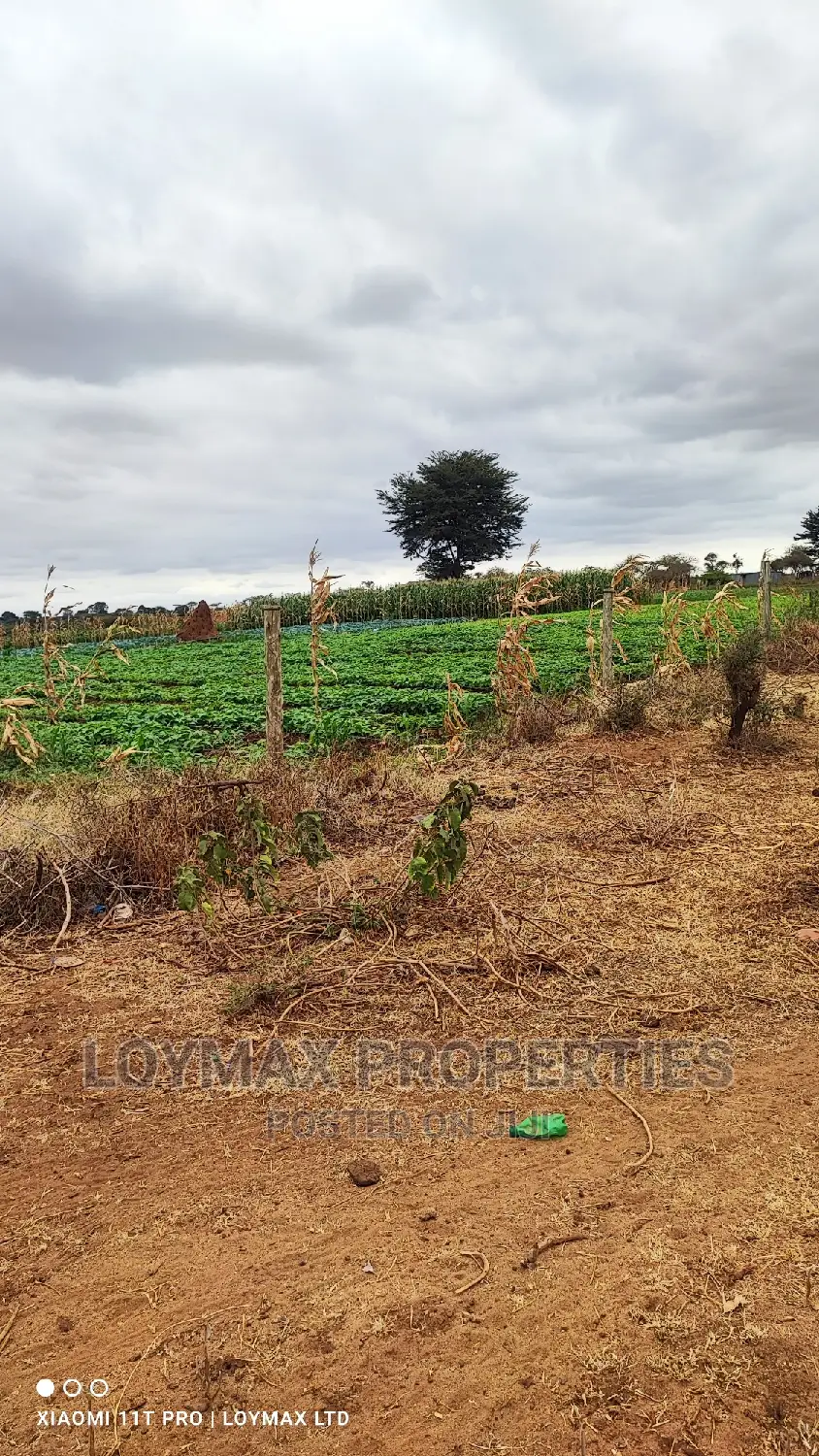 42 Acres for Sale in Kajiado Mashuru