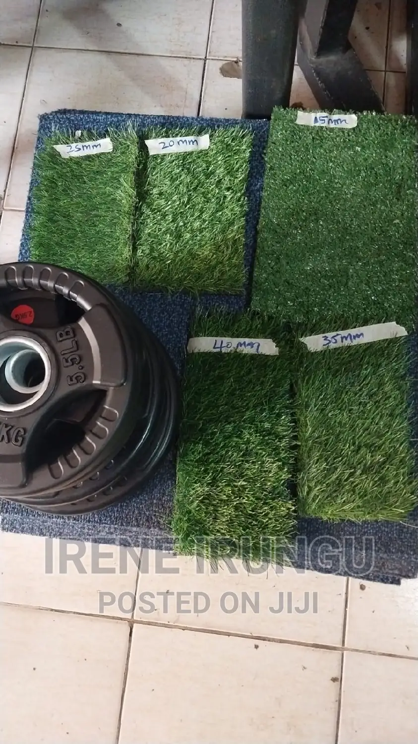 Gym Floor, Gym Floor, Green