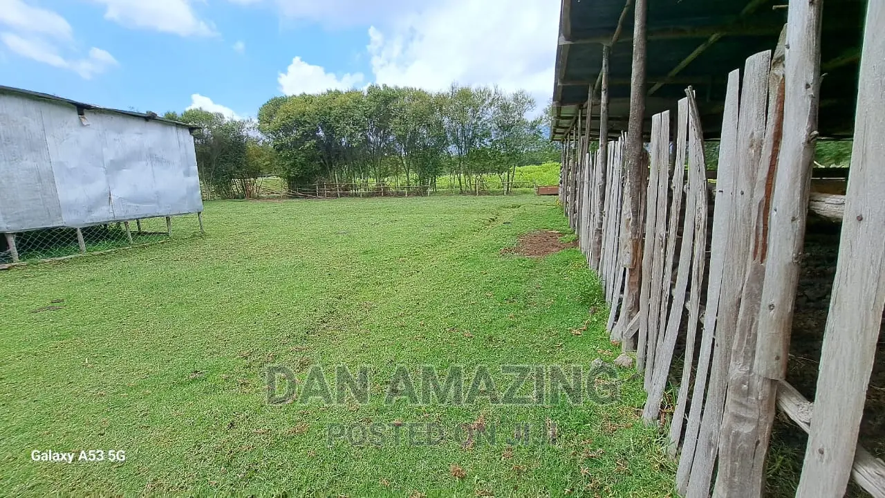 40 Acres Farmland for Sale in Nyandarua County