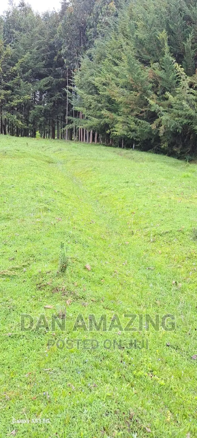 40 Acres Farmland for Sale in Nyandarua County