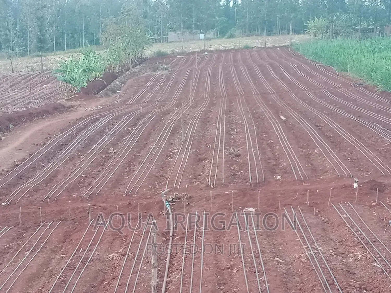 Drip Irrigation System